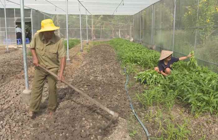 Dù hoàn cảnh nào Cựu Chiến binh phải xứng danh là “Bộ đội Cụ Hồ” (31-07-2022)